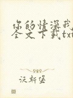 你的情深我不配全文下载txt下载