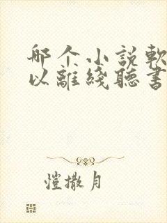 哪个小说软件可以离线听书