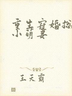 重生宠婚总裁的小萌妻