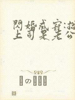 闪婚成宠:总裁上司是老公