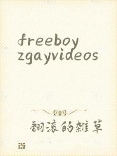 freeboyzgayvideos