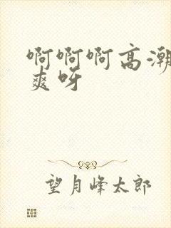 啊啊啊高潮了好爽呀