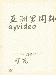 亚洲男同帅哥gayvideo