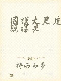 国模大尺度私密照曝光