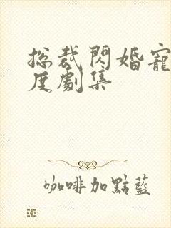 总裁闪婚宠妻无度剧集