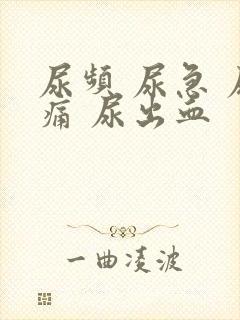 尿频 尿急 尿痛 尿出血