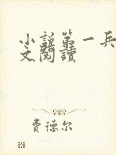 小说第一兵王全文阅读