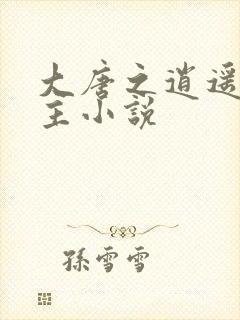 大唐之逍遥小地主小说