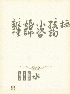 离婚小孩抚养权律师咨询