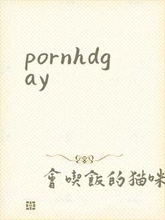 pornhdgay