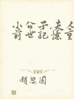 小公子,夫人带前世记忆重生救府小说