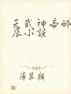 天武神帝醉梦星辰小说封面