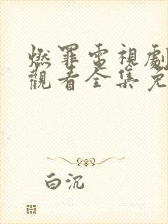 燃罪电视剧在线观看全集免费