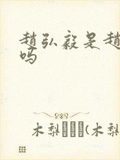 赵弘毅是赵匡胤吗