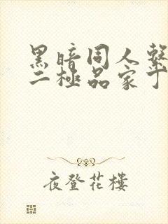 黑暗同人系列之二极品家丁