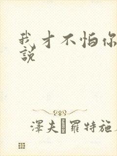 我才不怕你呢小说