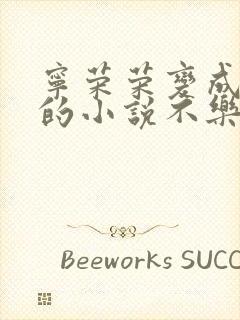 宁荣荣变成荣奴的小说不乐