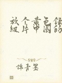 放个黄色录像一级片中国的