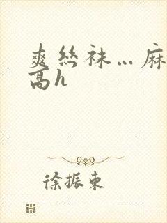 爽丝袜…麻麻快高h