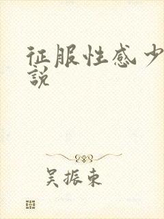 征服性感少妇小说封面