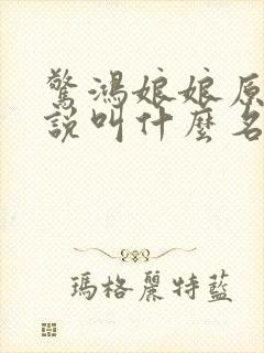 惊鸿娘娘原著小说叫什么名字