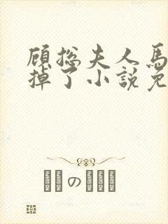 顾总夫人马甲又掉了小说免费阅读