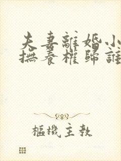 夫妻离婚小孩的抚养权归谁