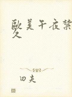 欧美午夜禁片久久