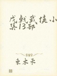 戊戟武侠小说全集13部