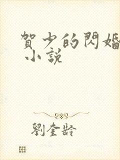 贺少的闪婚暖妻 小说