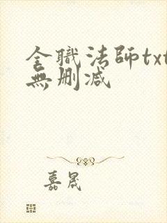 全职法师txt无删减