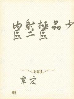 内射极品少妇一区二区