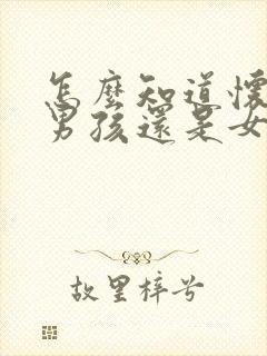 怎么知道怀的是男孩还是女孩清宫表