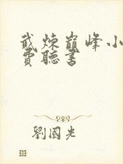 武炼巅峰小说免费听书