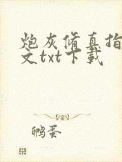 炮灰修真指南全文txt下载