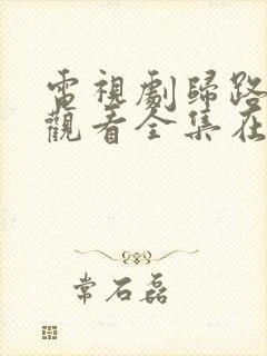 电视剧归路免费观看全集在线播放