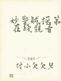 妙警贼探第一季 在线观看