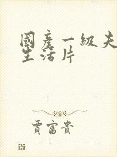 国产一级夫妻性生活片封面