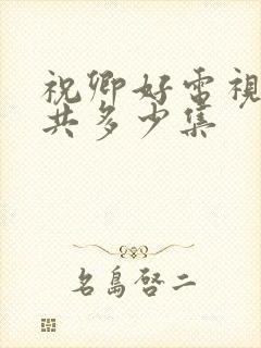 祝卿好电视剧一共多少集