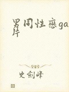 男同性恋gay片