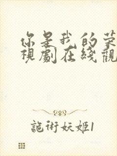 你是我的荣耀电视剧在线观看星辰