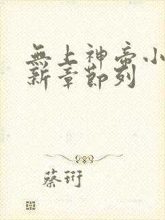 无上神帝小说最新章节列