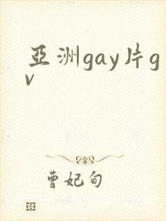 亚洲gay片gv封面