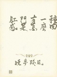 肛门有一种坠胀感是怎么回事封面