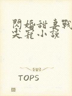 闪婚甜妻战少心尖宠小说