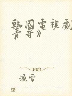 韩国电视剧《柏青哥》封面