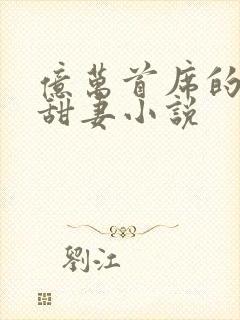 亿万首席的娇宠甜妻小说