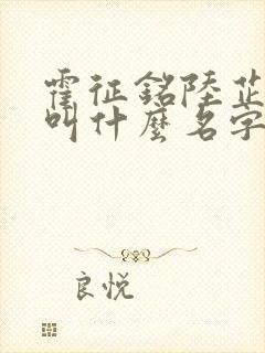 霍征铭陆芷小说叫什么名字