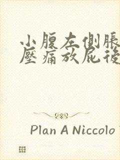 小腹左侧胀气按压痛放屁后缓解