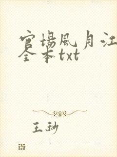 官场风月江映雪全本txt封面